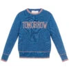 Alberta Ferretti Glittery Blue Viscose Sweater