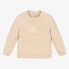 Dolce & Gabbana Beige Knitted Wool DG Sweater