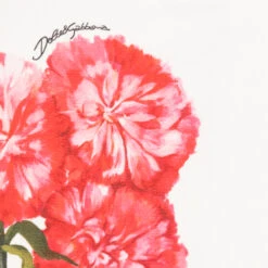 Dolce & Gabbana Girls White Cotton Carnation Sweatshirt -Deals Whimsy Collection Store dolce gabbana girls white cotton carnation sweatshirt 486733 ca869598c59464eed2efccfb38a917be75a59ba6