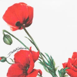 Dolce & Gabbana Girls White Poppy Zip-up Hoodie -Deals Whimsy Collection Store dolce gabbana girls white poppy zip up hoodie 486819 c5069a26635e24f278d83b1598f1f98620beba60