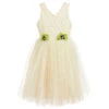 Le Mu Green Tulle & Lace Dress