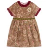 Pan Con Chocolate Brown & Pink Velvet Dress