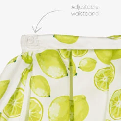 Piccola Speranza Girls Ivory & Green Lime Satin Skirt -Deals Whimsy Collection Store piccola speranza girls ivory green lime satin skirt 485079 d2ec0eb60922fc05e02759a6f2b886020ae9b938